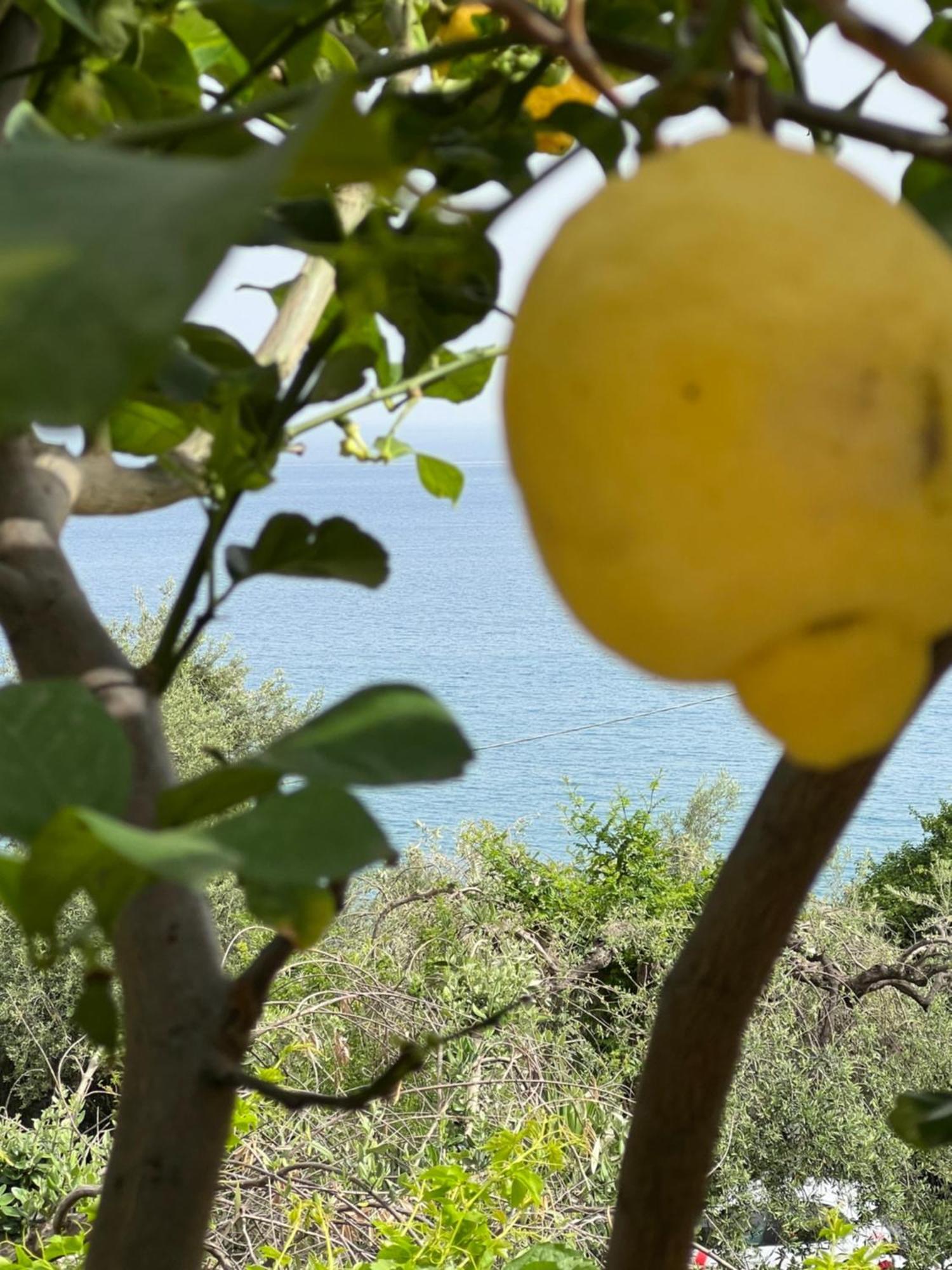 La Casa Dei Ciocio Βίλα Cefalù Εξωτερικό φωτογραφία
